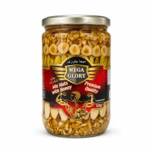 آجیل مخلوط با عسل MEGA GLORY مدل Premium Quality وزن ۷۲۰ گرم